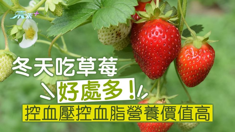 冬天吃草莓好處多！控血壓控血脂營養價值高