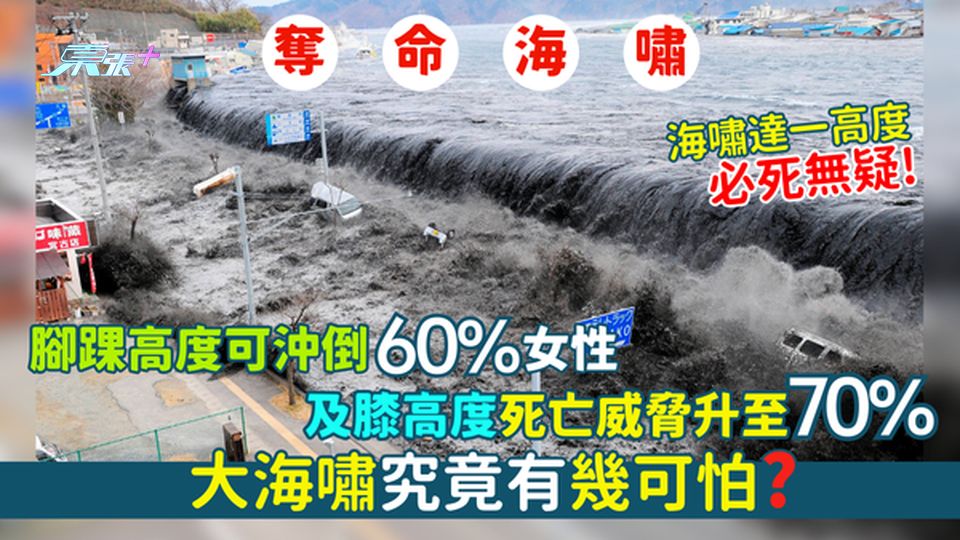 大海嘯究竟有幾可怕？🌊腳踝高度可沖倒60%女性｜及膝高度死亡威脅升至70%💀｜一高度必死無疑！