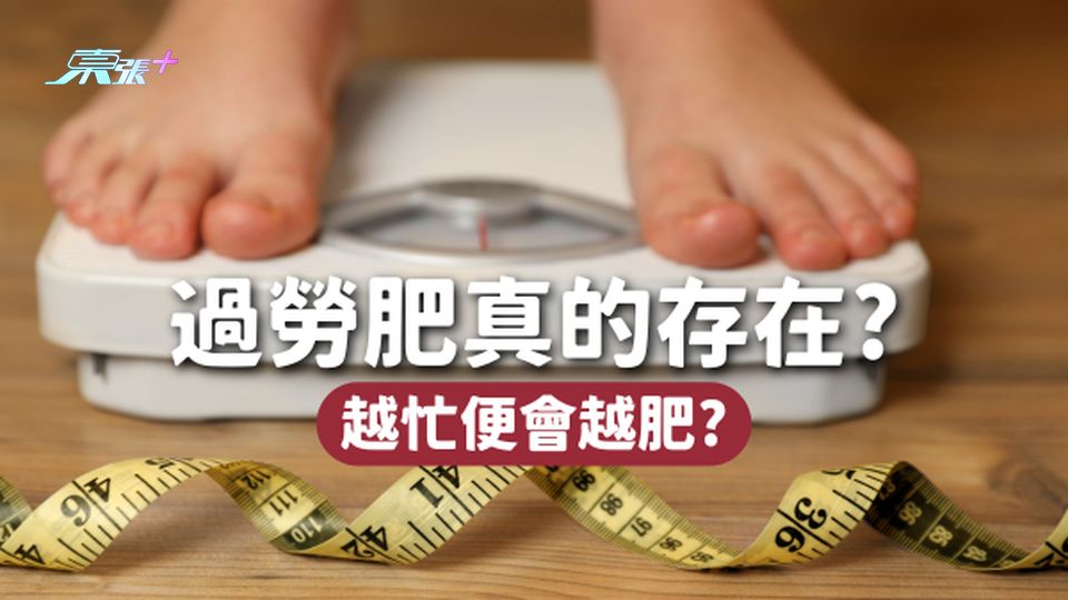 「過勞肥」真的存在？工作越忙會越肥？