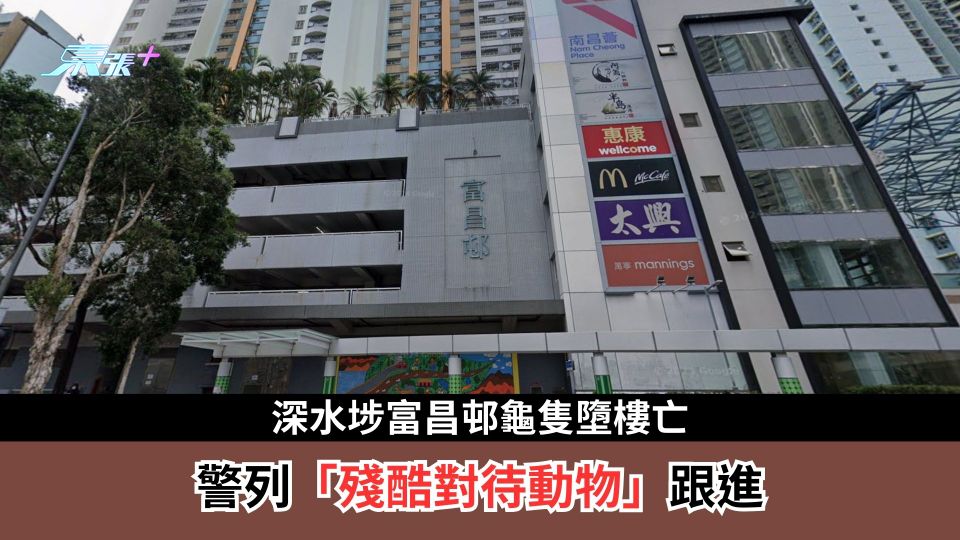 深水埗富昌邨龜隻墮樓亡  警列「殘酷對待動物」跟進