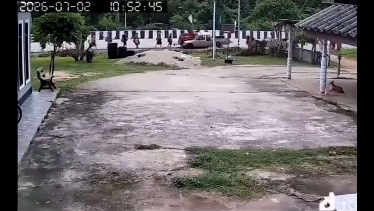一名11歲有特殊需要的男童擅自駕駛父親的小型貨車，高速撞向一群正步行前往朝聖的佛教僧侶及信徒