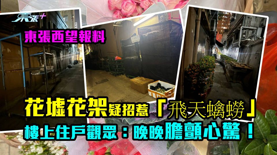 報料｜花墟花架咁擺　疑招惹「飛天蠄蟧」 樓上住戶觀眾：晚晚震揗揗！