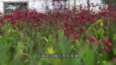 廣東成立兩岸鄉村融合發展試驗區 提供技術交流合作平台