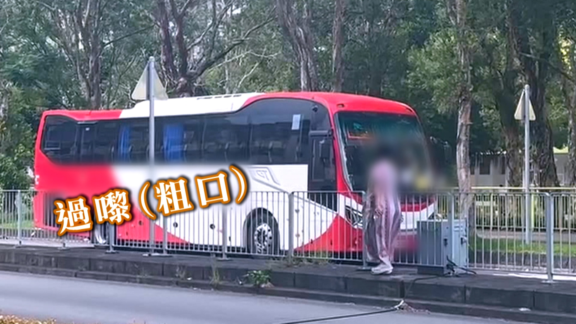 她先走進便利店放下買菜手推車，之後，她化身「正義使者」，看到路邊有旅遊巴停泊，立刻急步衝出馬路，又拿著手機拍照記錄。