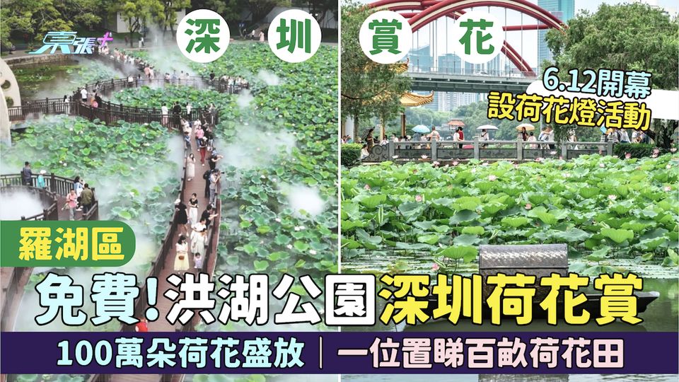 羅湖區｜免費!洪湖公園深圳荷花賞6.12開幕 100萬朵荷花盛放/一位置睇百畝荷花田/放荷花燈活動