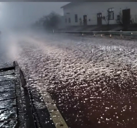 地面鋪滿冰雹。網絡圖片