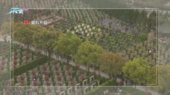 北京墓地需求大增 「入場費」增至十萬元人民幣