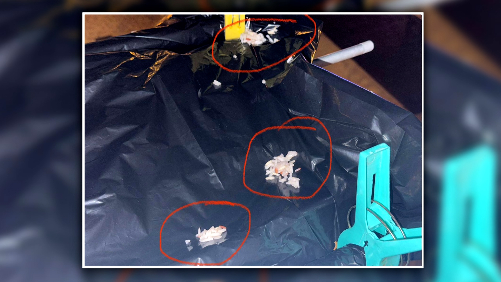 李先生表示，樓上有人把麵包碎和白飯丟出來，白飯會黏在晾衣架上，清理起來特別麻煩。