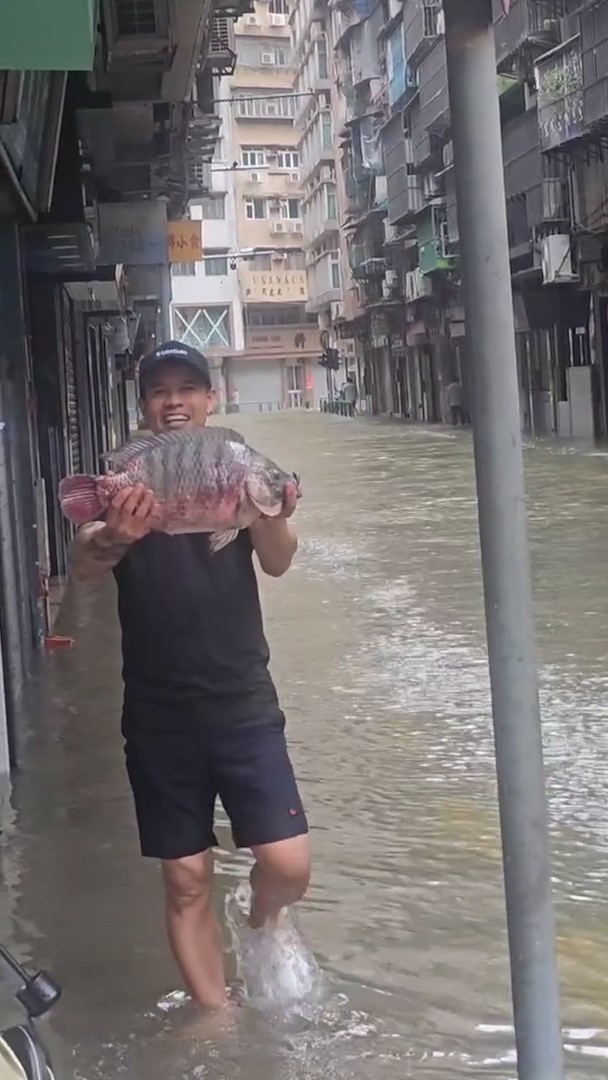 一名男子在澳門淹水的街道上手持一條魚，並興奮地向鏡頭展示。（Facebook影片截圖／澳門高登起底組／Diona Miu）