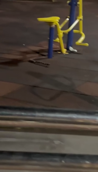 有片｜港公園「老鼠」全家出沒嚇途人似鼠形蜈蚣　街坊揭真身原來係佢