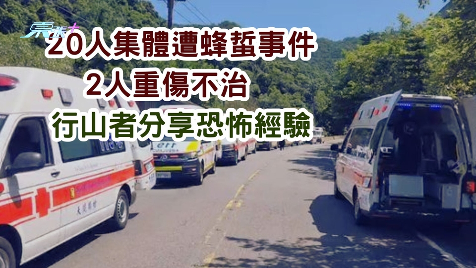 20人集體遭蜂蜇事件2人重傷不治　行山者分享恐怖經驗