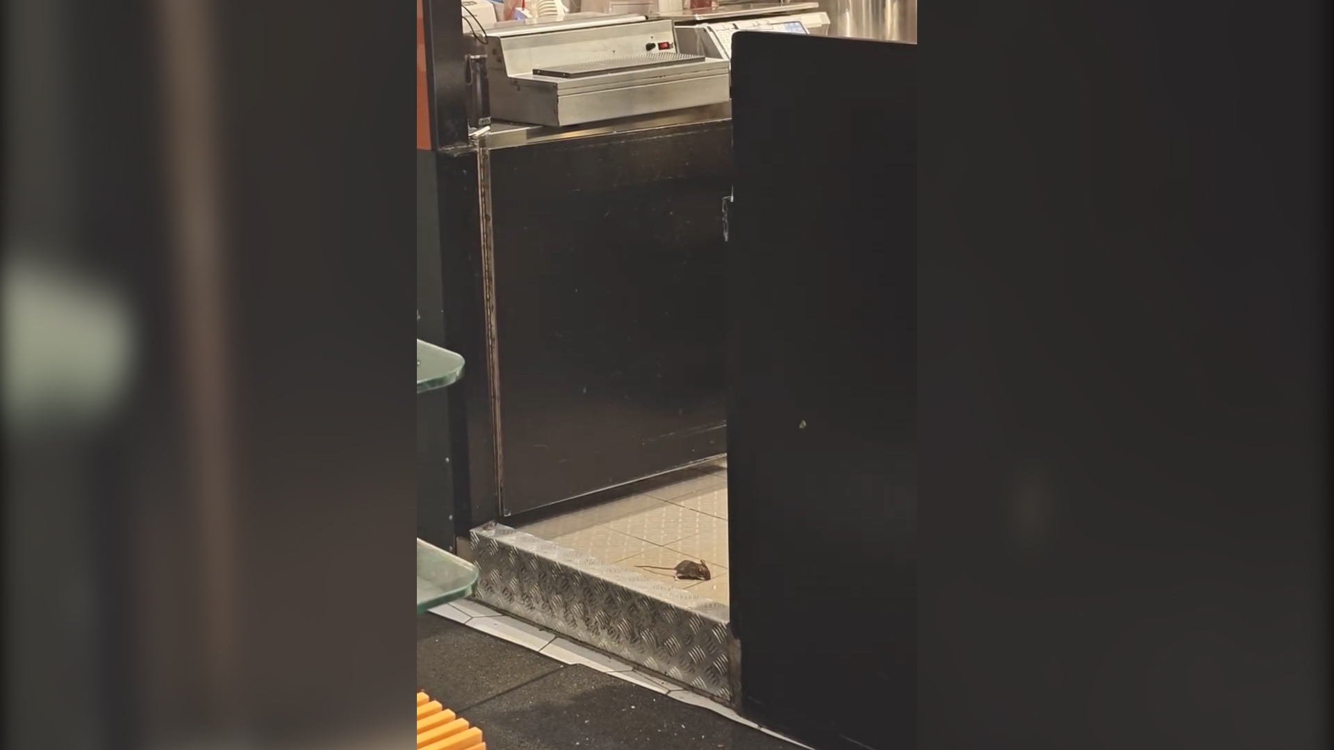 東張西望報料｜又一城超市燒味部驚現老鼠當眾遊走　市民震驚：至少4隻
