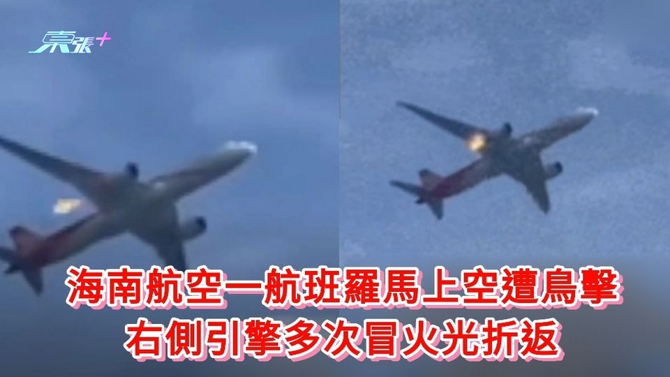 有片|海南航空一航班羅馬上空遭鳥擊 右側引擎多次冒火光折返