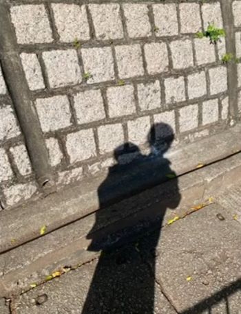 港媽化身步兵推BB車送外賣