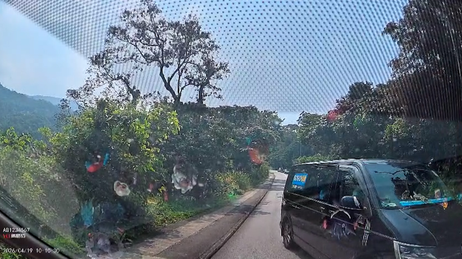東張西望報料｜危險司機處處有！觀眾車Cam直擊逆線行駛：差啲撞埋去命都無 （觀眾陳先生提供影片截圖）