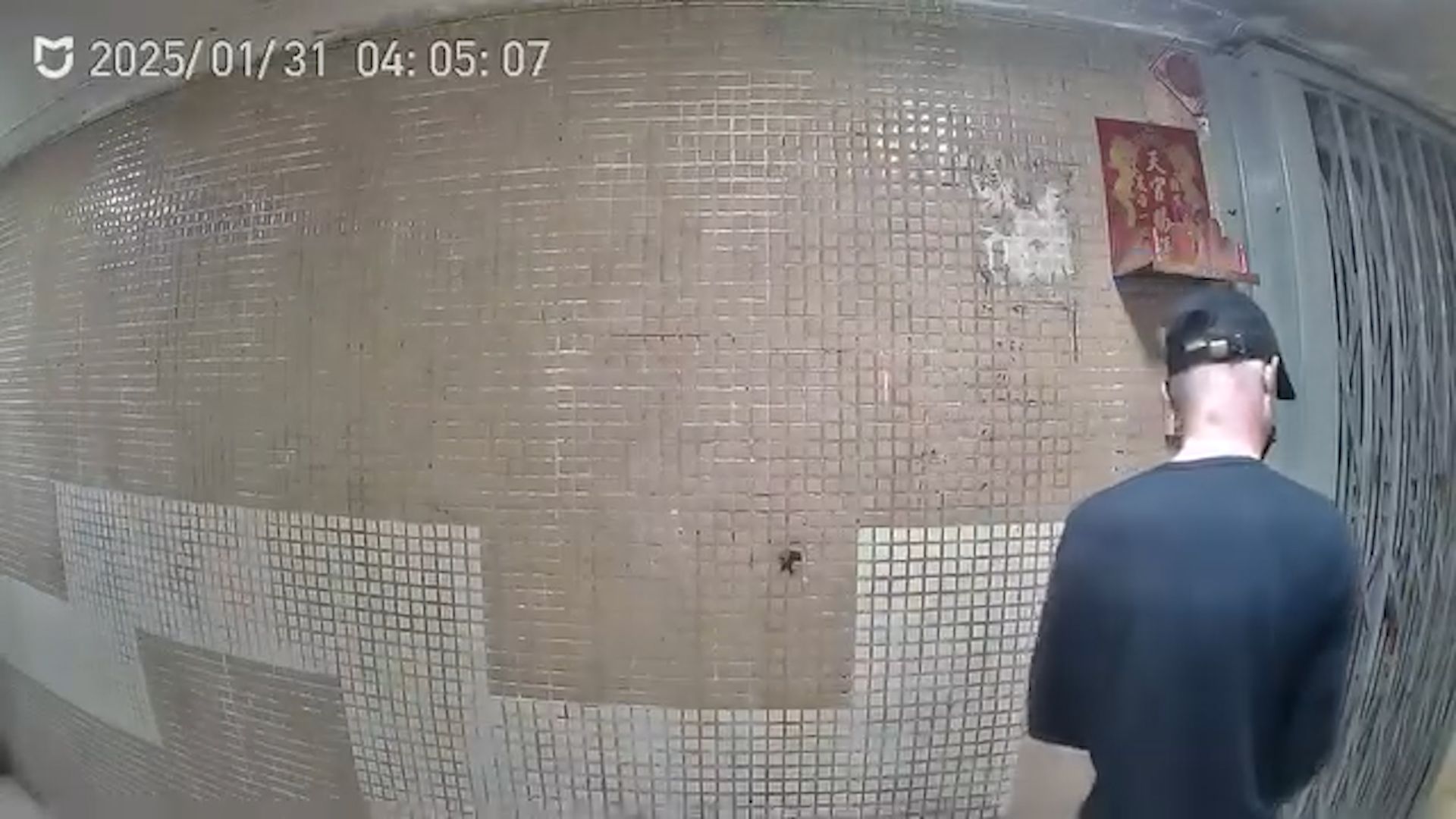 黃大仙下邨年初三現「抹屎男」，住戶鐵閘「抹便」全被拍下。(影片截圖／FB@黃大仙區友)