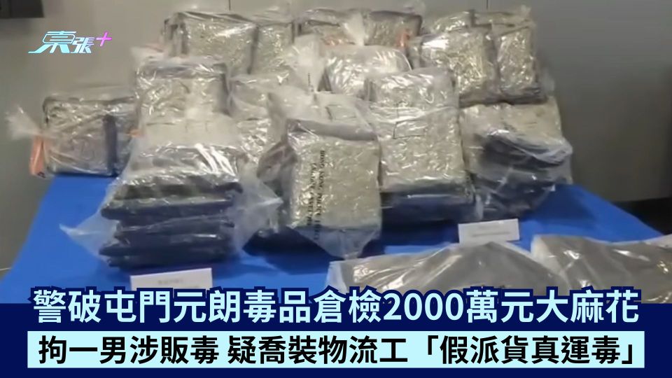 警破屯門元朗毒品倉檢2000萬元大麻花 拘一男涉販毒 疑喬裝物流工「假派貨真運毒」