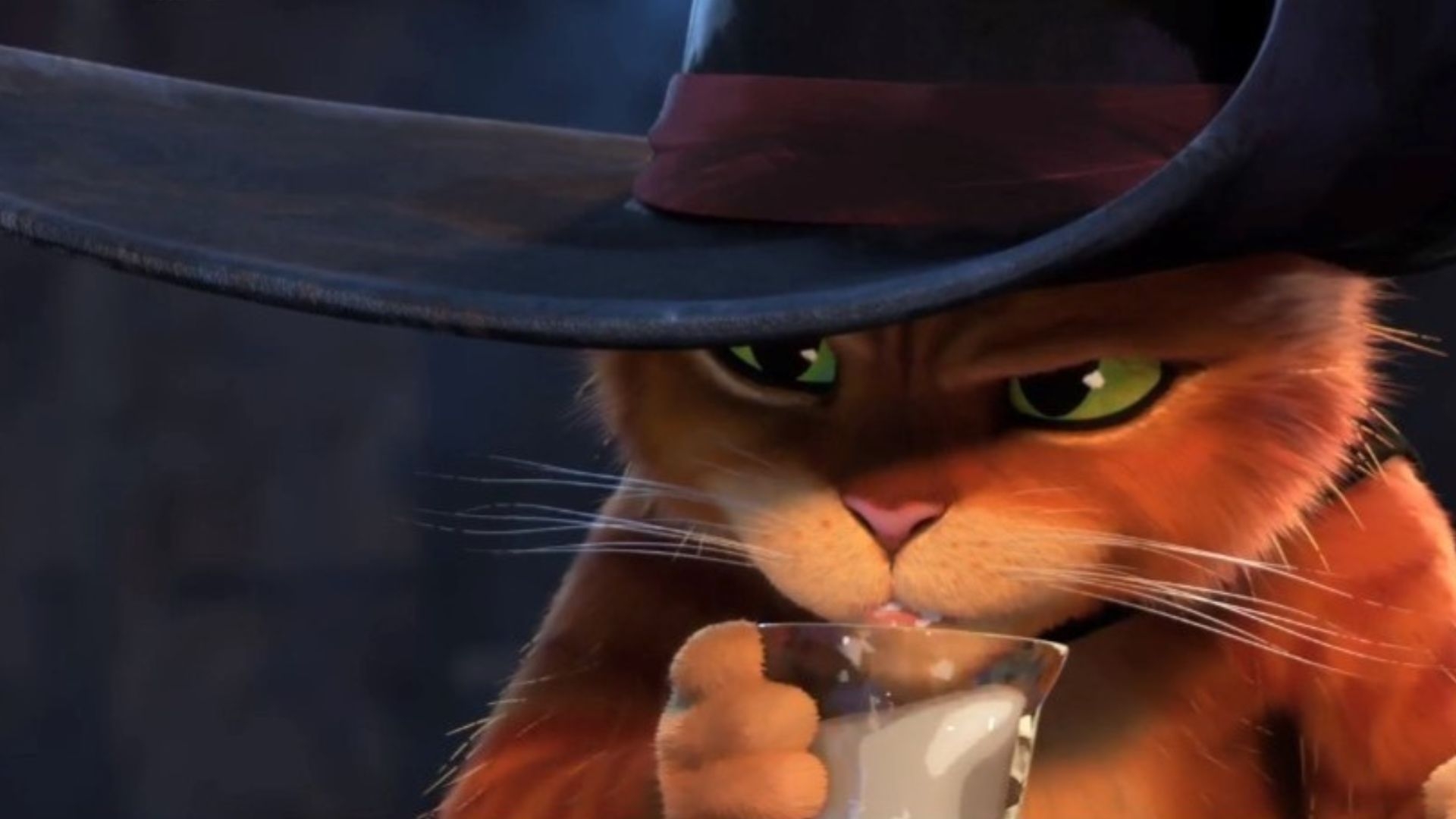 全新大電影《無敵貓劍俠：8+1條命》chok爆回歸，將於2022年12月22日上映。