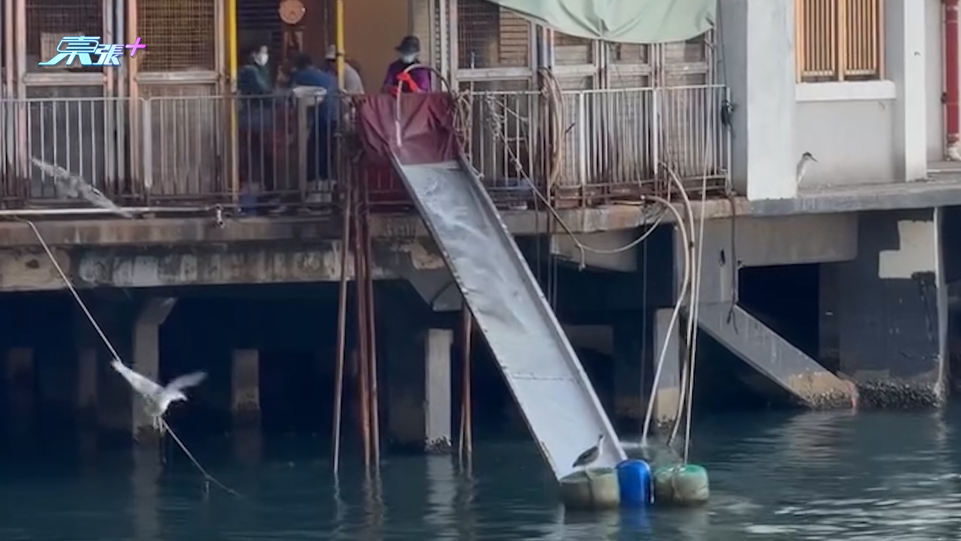 北角碼頭大人細路公然放生，仲開「瀡滑梯」及大水喉伺候。 (Threads@tumtumtummy_tommy)