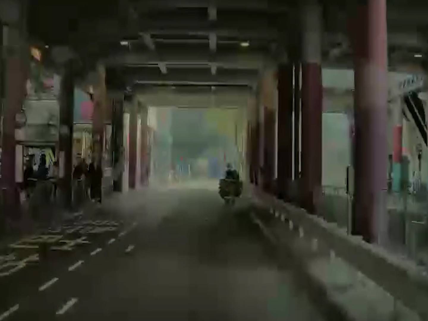 屯門「紙皮手推車」逆線行馬路全拍下