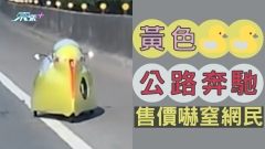 「黃色小鴨」公路奔馳 售價嚇窒網民