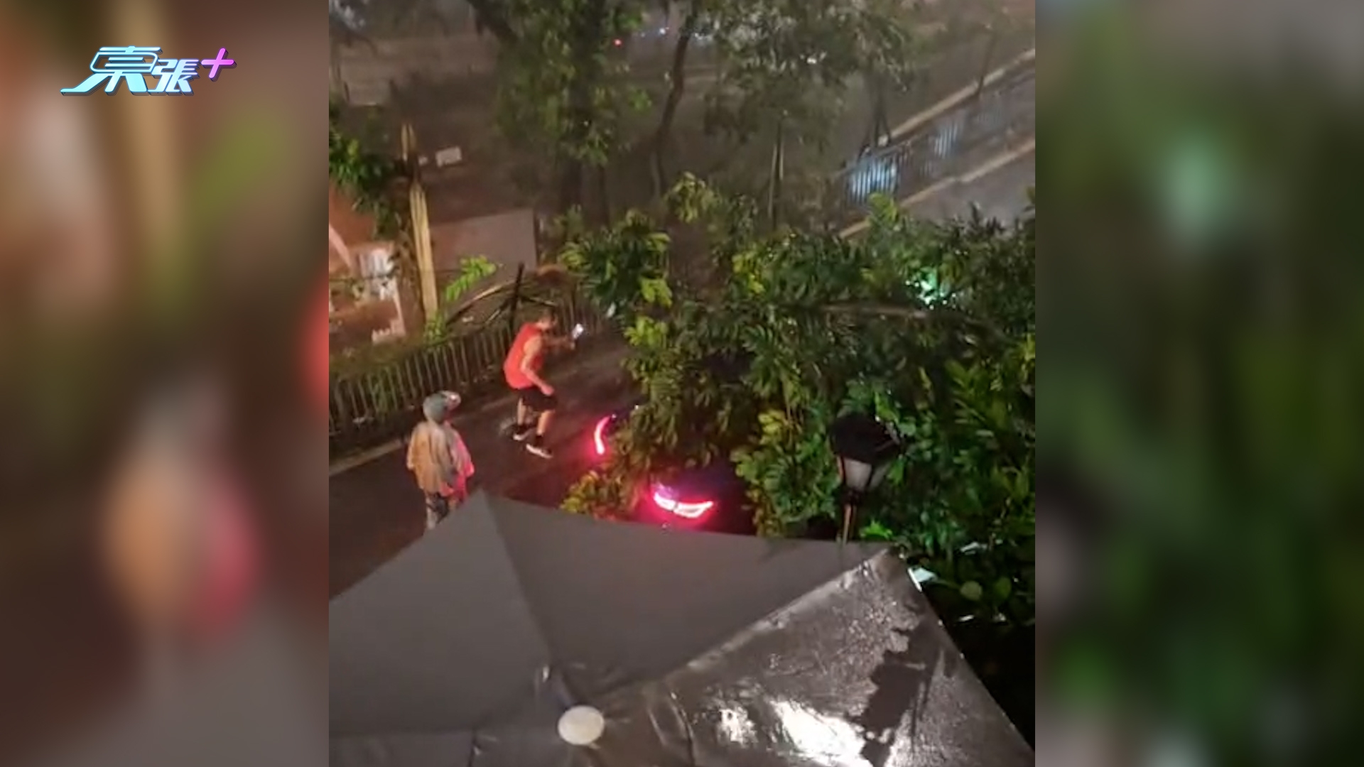 東張西望報料｜紅雨下好驚險！半山大樹疑遭雷擊倒塌壓車　觀眾直擊事發一刻 （陳女士（化名）提供東張）