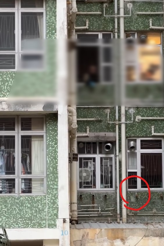 東張西望報料｜坑口和明苑公然高空擲物　報料者：已通知管理處