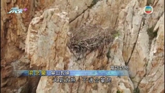 六旬漢西貢行山時疑失足墮崖不治 據悉事發時曾徒手攀爬上崖頂