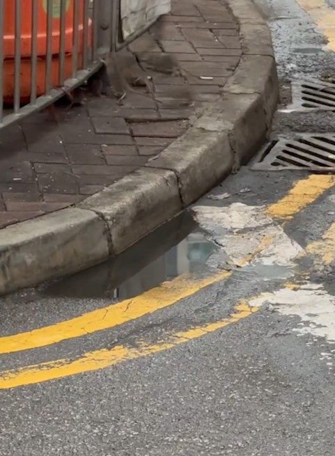 大埔街頭驚變「迪士尼樂園」嚇怕街坊