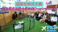 超級毛特兒大賽｜寵物酒店為超毛們完美Dog training