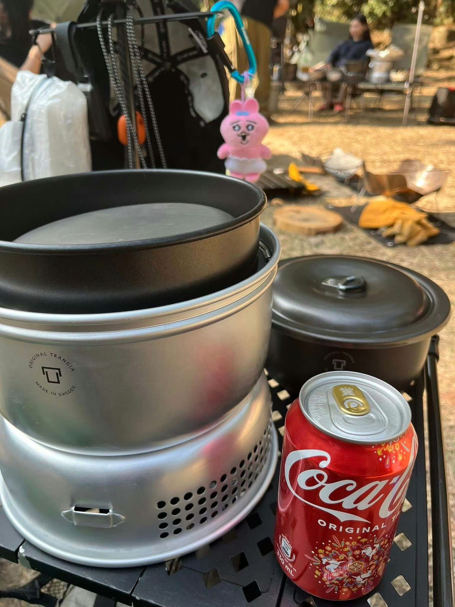 東張西望報料｜內地旅客露營疑伐木生火煮食　帶齊工具營地煮鮑魚 （微博圖片）