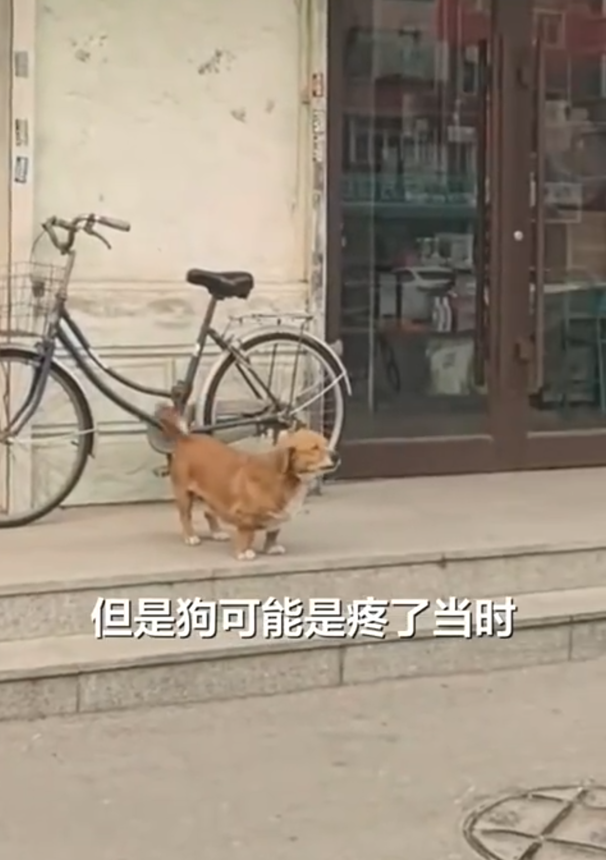 （網上圖片）