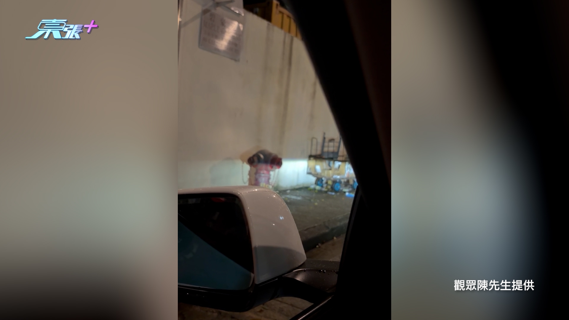 東張西望報料｜元朗牛潭尾豪宅區變「鼠城」　獨立屋湧現數十隻老鼠　街坊怒斥無人理 （陳先生提供影片截圖）