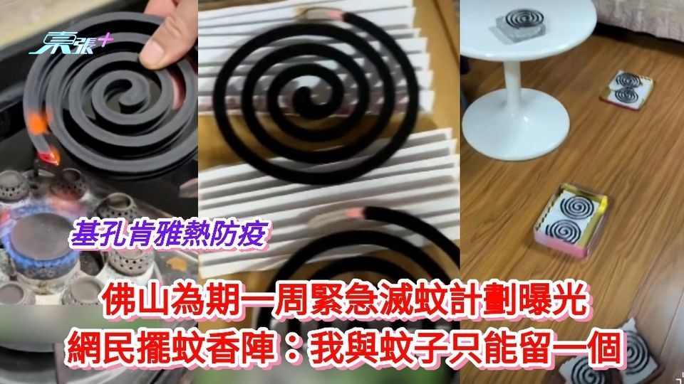有片丨佛山防疫緊急滅蚊計劃曝光 網民擺數十蚊香陣：我與蚊子只能留一個