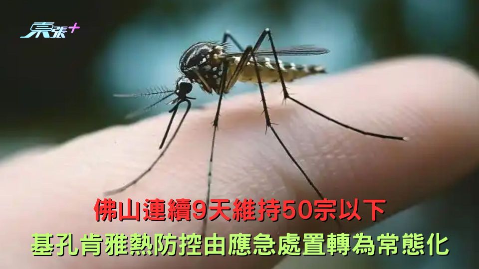 佛山連續9天維持50宗以下 基孔肯雅熱防控由應急處置轉為常態化