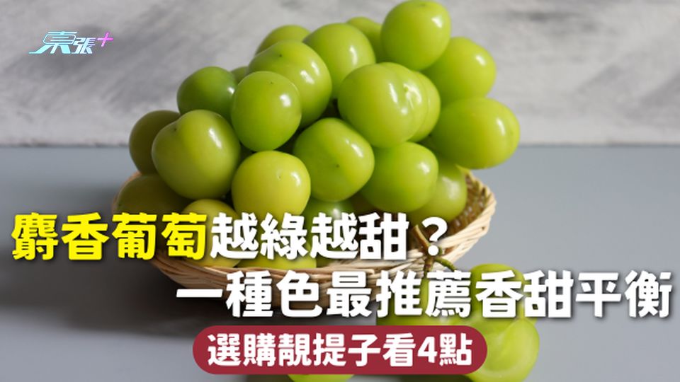  麝香葡萄 | 越綠越甜？一種色最推薦香甜平衡 選購靚提子看4點