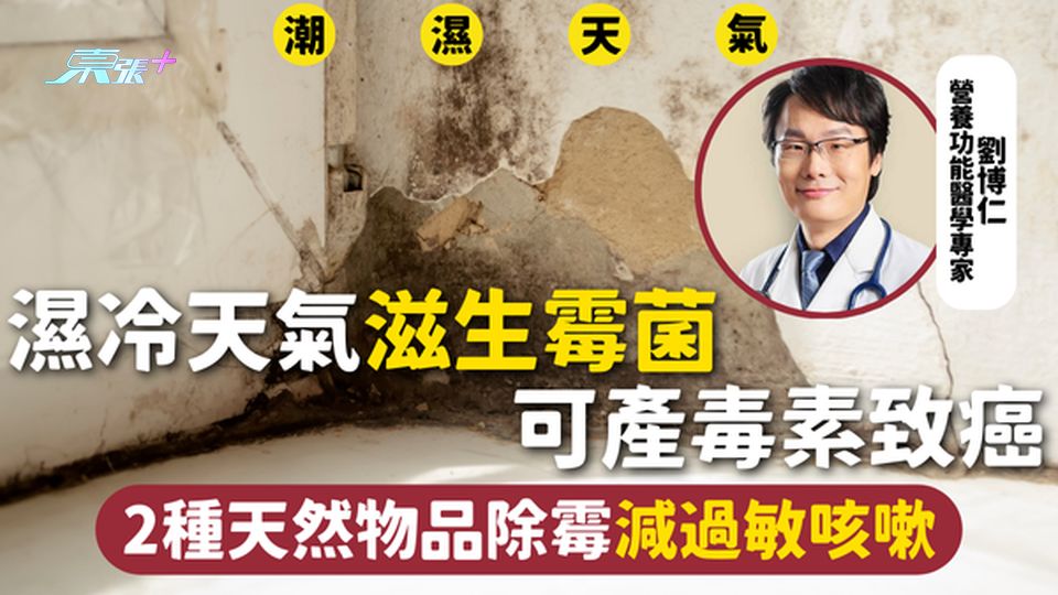 潮濕 | 濕冷天氣滋生霉菌 可產毒素致癌 2種天然物品除霉減過敏咳嗽