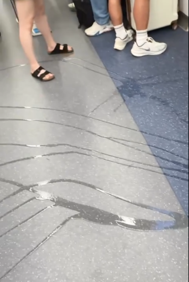 港鐵東鐵綫男子公然車廂內小便全被拍　滿地尿液周圍流動網民直呼嘔心