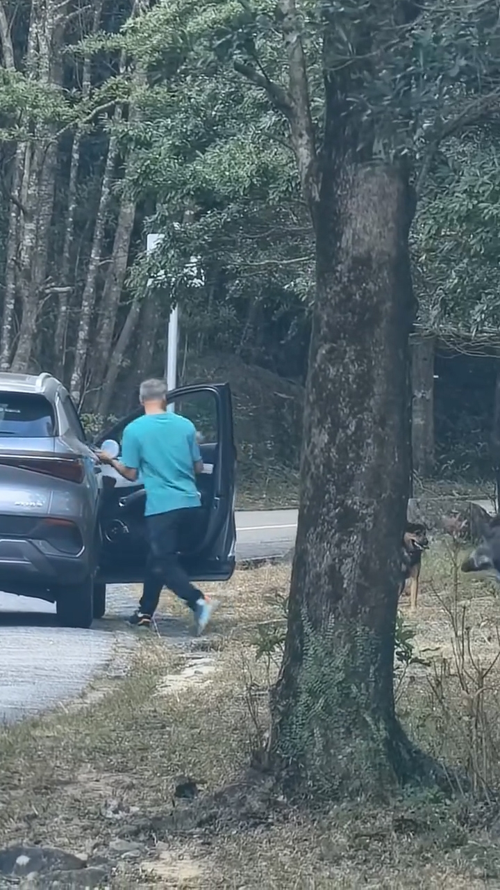 涉事男子與野豬經過短暫對峙後，登上私家車駕駛座，發動汽車並開始移動，期間拿出手機，似是正從車窗拍攝該隻野豬。（網上影片截圖）