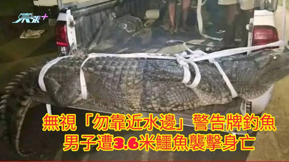 無視「勿靠近水邊」警告牌釣魚 男子遭3.6米鱷魚襲擊身亡