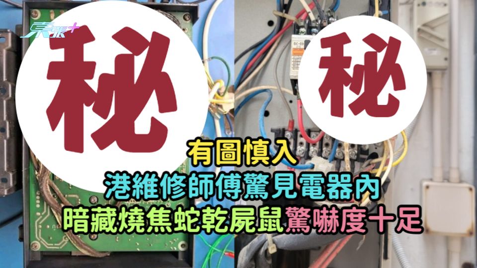有圖慎入 | 港維修師傅驚見電器內暗藏燒焦蛇乾屍鼠  驚嚇度十足