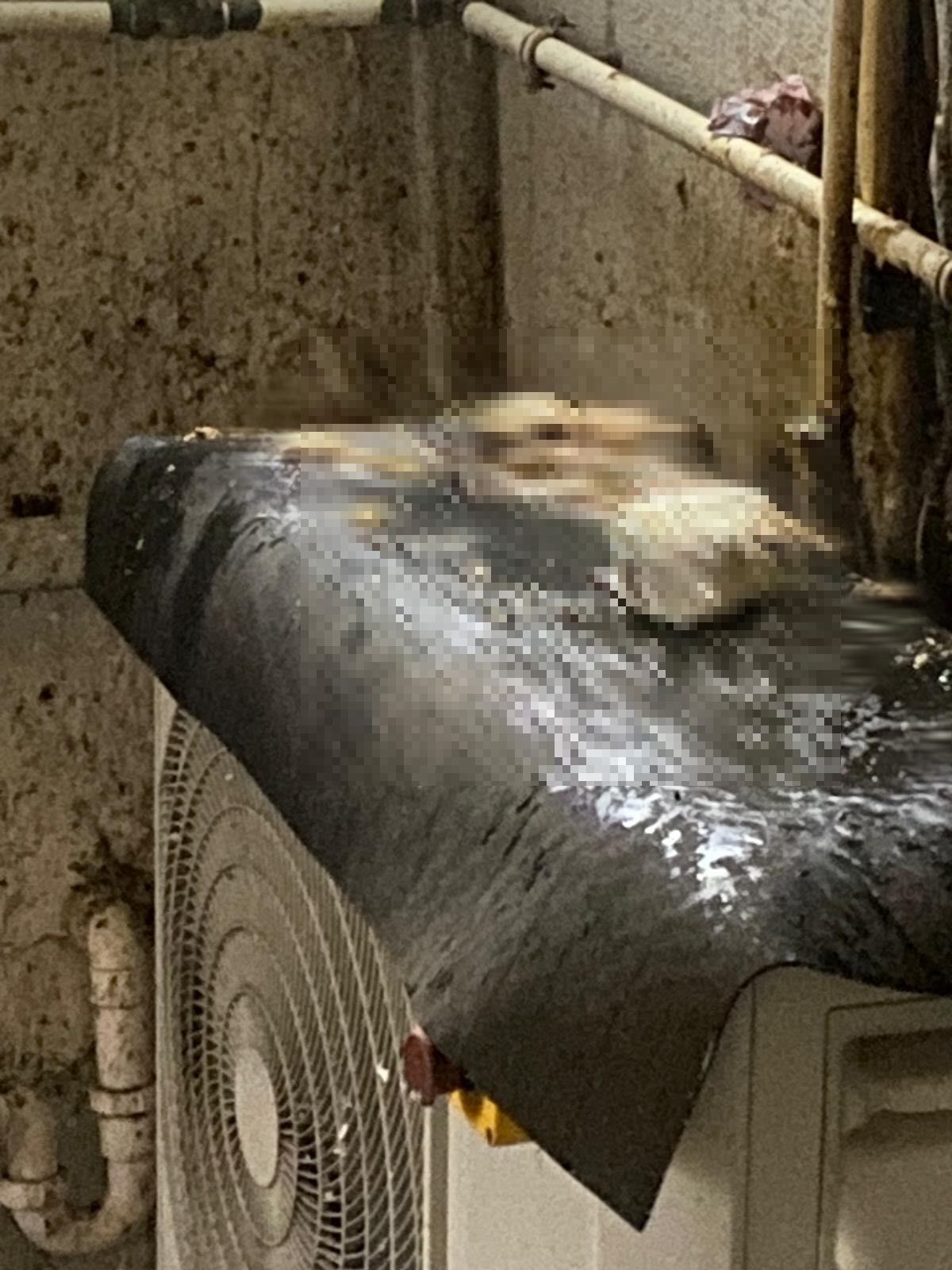 私樓港女疑遭樓上鄰居「掟屎」　網上發文求救：好崩潰