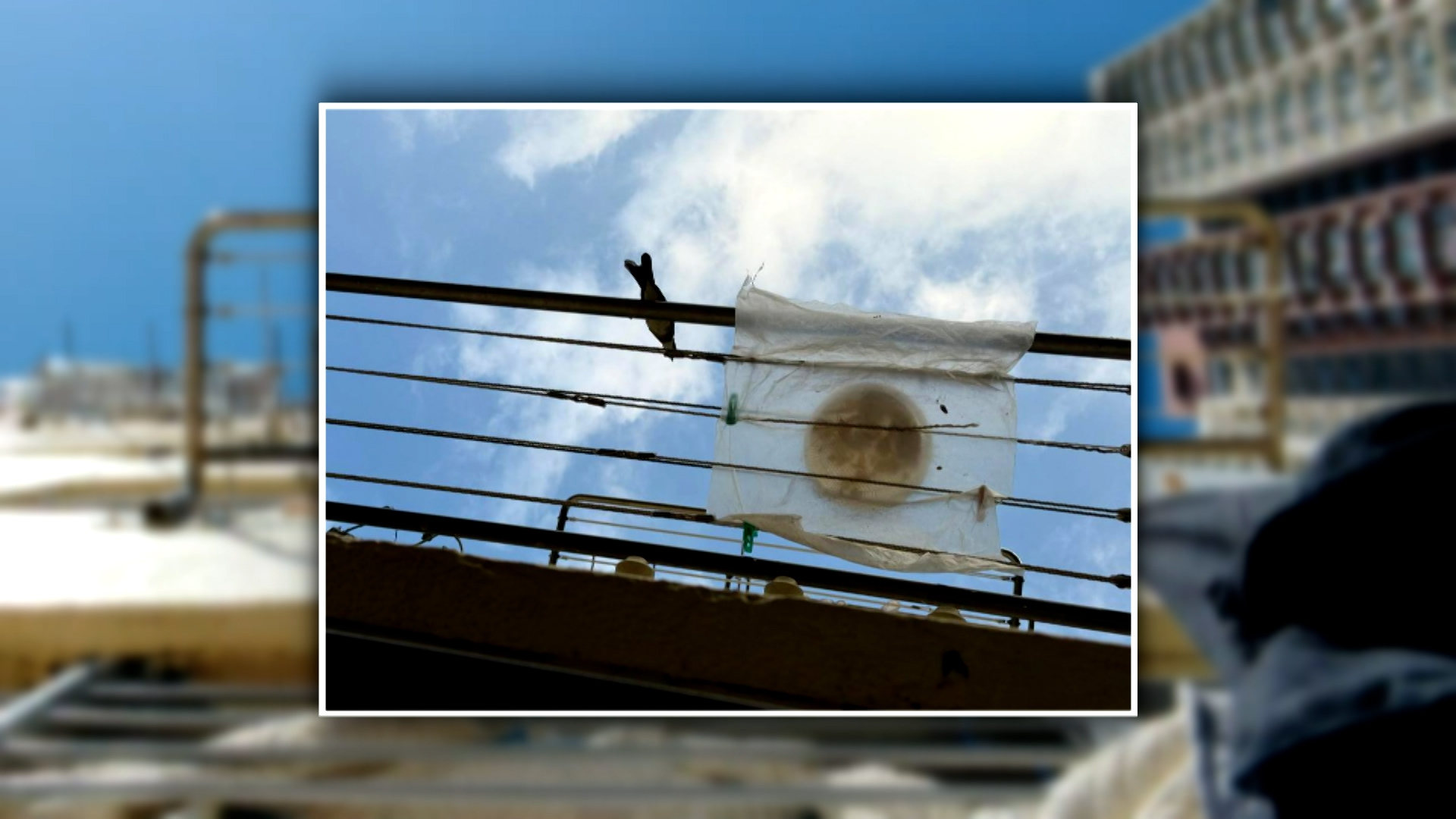 李先生稱，樓上的人會把食物盤放在晾衣架上，引野鳥來進食。他指，鳥糞造成衛生問題，會惹來蒼蠅，也產生異味。