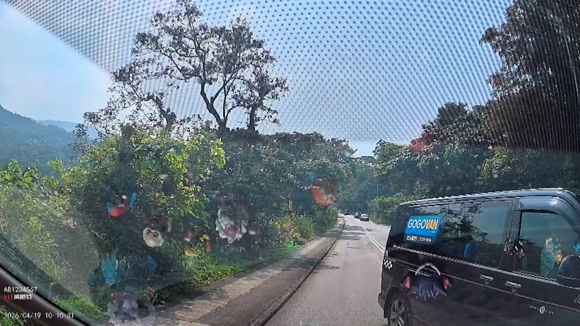 東張西望報料｜危險司機處處有！觀眾車Cam直擊逆線行駛：差啲撞埋去命都無 （觀眾陳先生提供影片截圖）