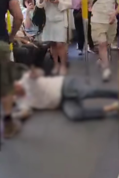 港鐵MMA｜東鐵綫列車變打交擂台，兩男互毆玩武術切磋，乘客勸阻。(IG@hong_kong_gossip_watch_group)