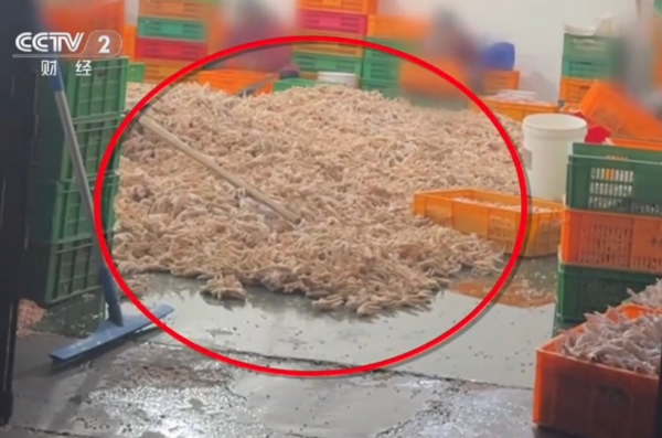 ▲生產線環境衛生堪憂。（圖／翻攝自微博，上同）