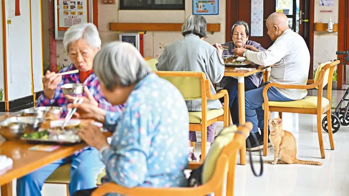 內地養老津貼透視3｜內地養老成趨勢長者津貼應「過河」 - 香港- 大公文匯網