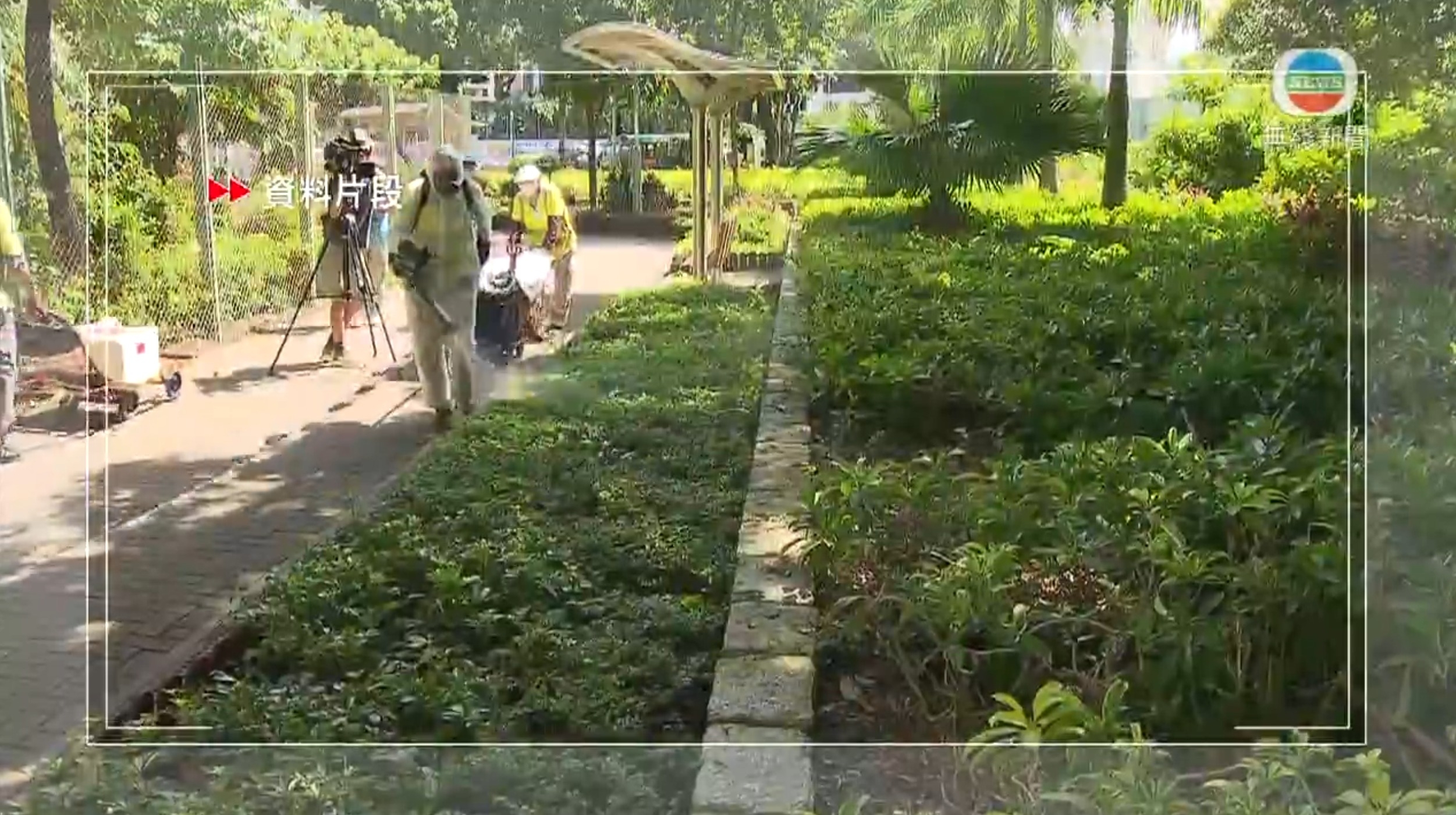 為防止疫情擴散，中心已召開跨部門會議，決定未來兩周將加強區內滅蚊工作，特別針對成蚊控制及蚊蟲滋生點進行重點清理。