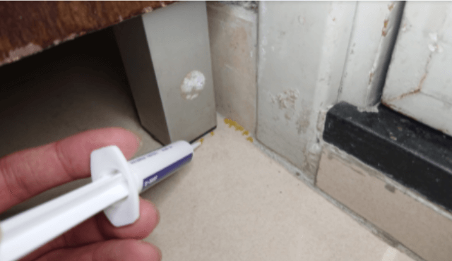 【除蟲攻略】曱甴藥冇效？係你唔識得用！點評4款滅曱甴方法！