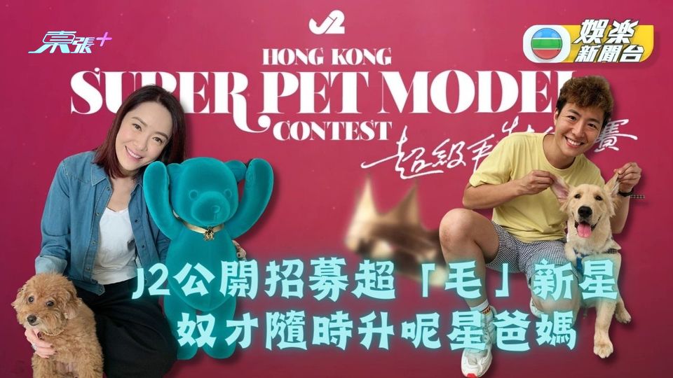超級毛特兒大賽｜J2公開招募超「毛」愛犬隨時升呢做明星